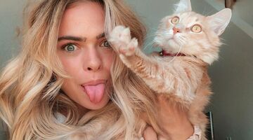 kat app