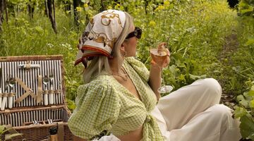 Picknicken tussen wijngaarden Amstelveen Nederland