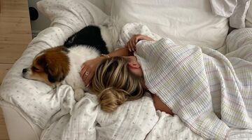 Honden dromen over baasje