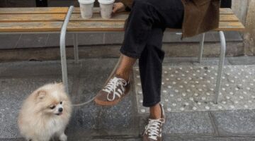 herfstsneakers