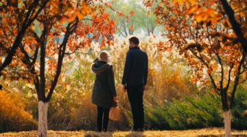 Een koppel tussen twee bomen in.