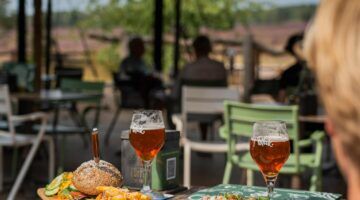 Boscafés in Nederland met een hapje en een drankje op tafel.