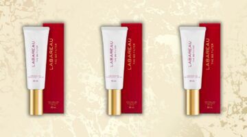 The BB Filter van LABAREAU.