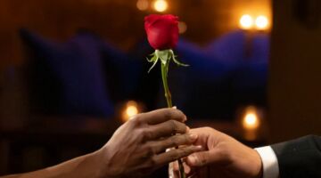 Een roos overhandigen.