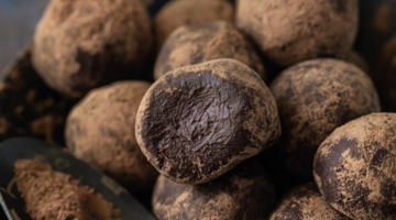 chocoladetruffels