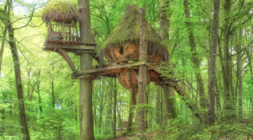 Deze boomhut-Airbnb in Frankrijk is de droom van iedere avonturier