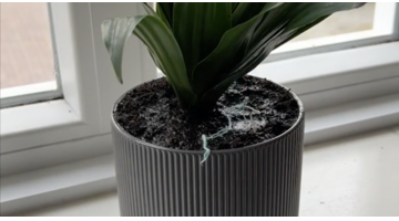 tampon in een plantenpot