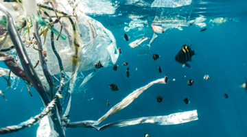 plastic tegengaan besparen