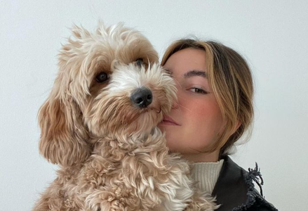 Illustratie voor: Awh: dit schattige hondje houdt zijn hele leven een puppyformaat