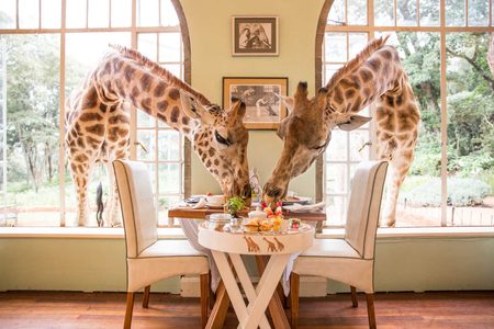 Illustratie voor: Dit zijn de meest bijzondere restaurants ter wereld