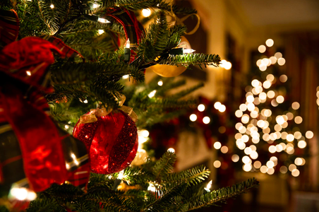 Illustratie voor: Waarom het helemaal oké is om je kerstboom tot februari te laten staan
