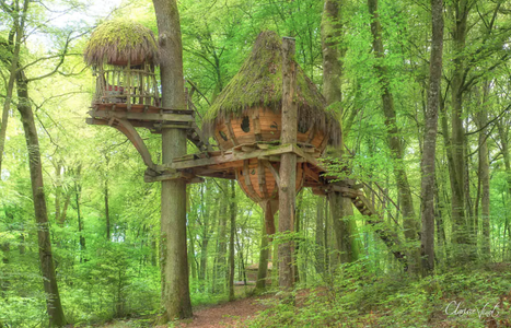 Deze boomhut-Airbnb in Frankrijk is de droom van iedere avonturier