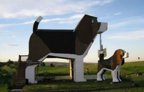 Illustratie voor: Bed and Breakfast op een bijzondere manier: slapen in een Beagle