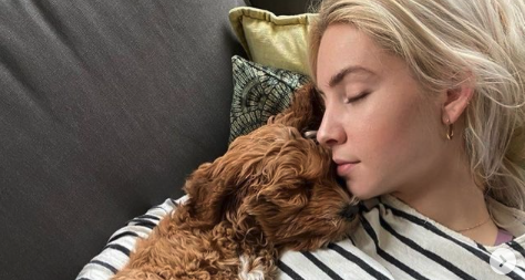 Science says: jouw hond is dus helemaal niet zo speciaal