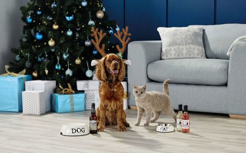Illustratie voor: Kerst voor honden en katten: Aldi komt met bier en Pawsecco voor je huisdier