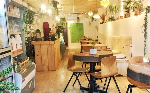 Illustratie voor: De leukste vegan restaurants van Nederland