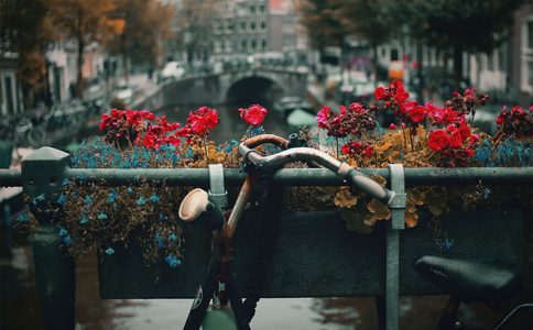 Illustratie voor: #11 Soof: Gewend in Amsterdam