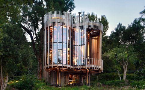 Illustratie voor: Wil je naartoe: deze boomhut in Zuid-Afrika is waanzinnig