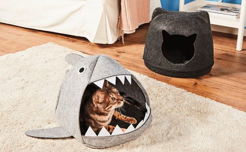 Illustratie voor: Je hebt het eigenlijk niet nodig, maar toch wil je het: een haaien kattenmand