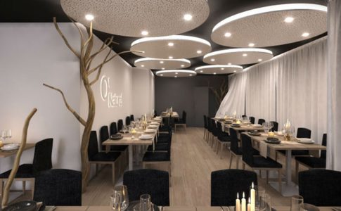 Illustratie voor: In dit restaurant in Parijs moet je naakt dineren