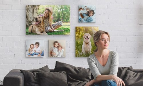 beste canvas
