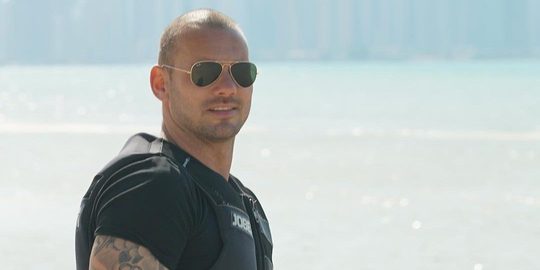 wesley sneijder