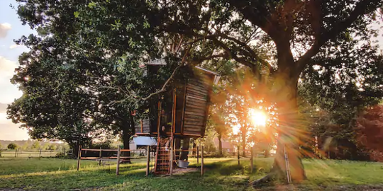 In Nederland kun je overnachten in deze Airbnb-boomhut
