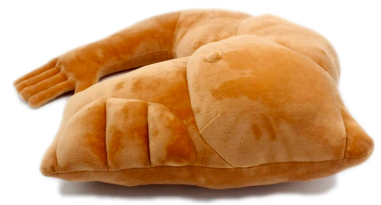 boyfriend pillow