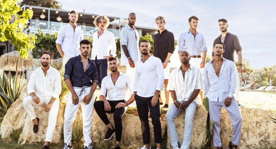 Prince Charming nieuwe mannen