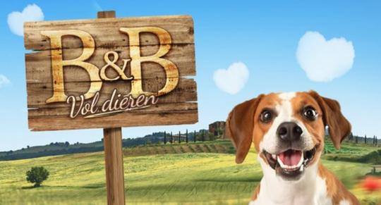 rien-welsink-de-bachelor-1