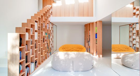 Illustratie voor: Deze prachtige boekenkasten zijn de eyecatcher in jouw huis
