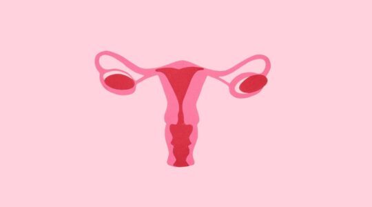Getekende vagina.