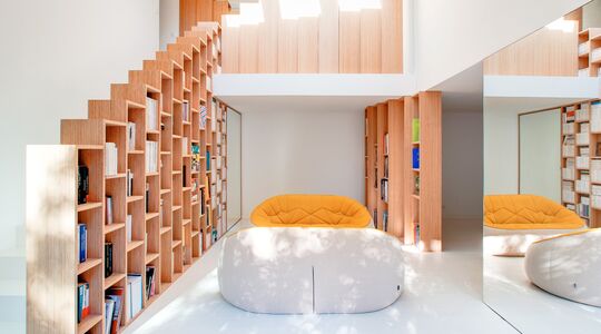 Illustratie voor: Deze prachtige boekenkasten zijn de eyecatcher in jouw huis