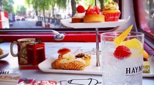Gin-Lovers-Bus-Tour-Hayman's-FEMFEM