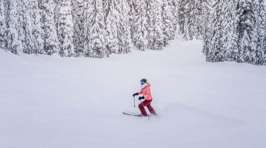 Illustratie voor: Mode essentials voor jouw wintersportvakantie