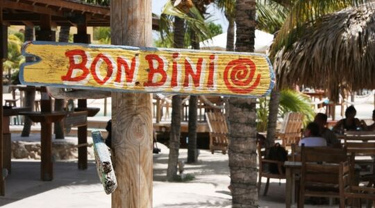 Illustratie voor: Een week feesten op Curaçao: dit is er van dag tot dag te doen