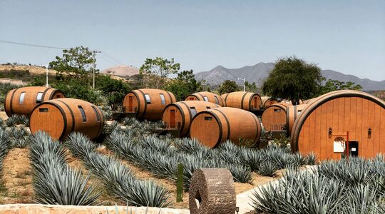 Illustratie voor: Bucketlist-material: slapen in een tequila-vat