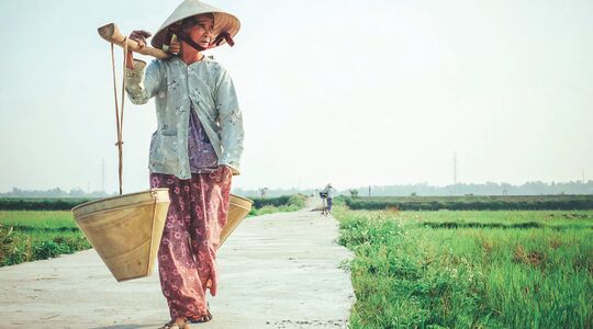 Illustratie voor: Vietnam: het culturele paradijs van Azië
