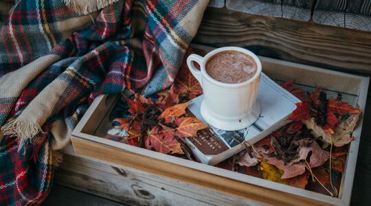 Illustratie voor: Dit zijn de lekkere winterse drankjes voor onder de nul graden