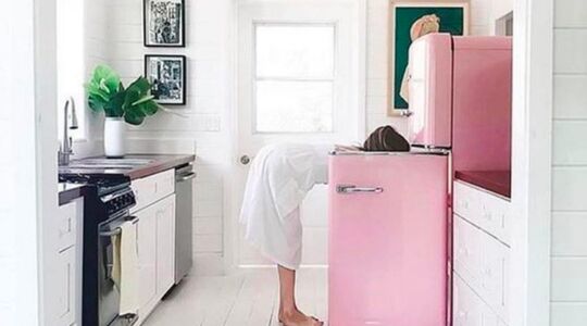 Illustratie voor: Voor de liefhebber: de roze koelkasten van de Lidl zijn weer terug!
