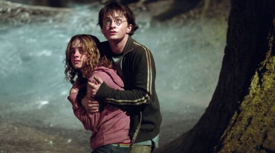 Illustratie voor: OMG! Is dit het bewijs dat Harry Potter éindelijk op Netflix komt te staan?