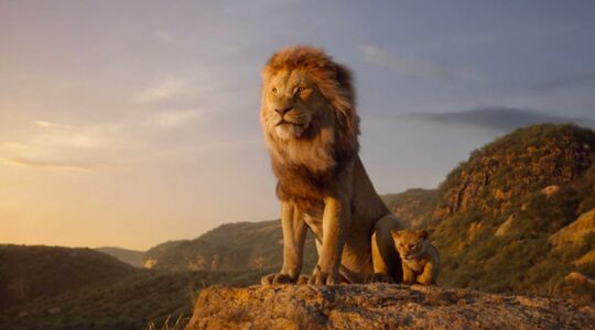 Illustratie voor: Onze 7 favoriete titels op Disney Plus