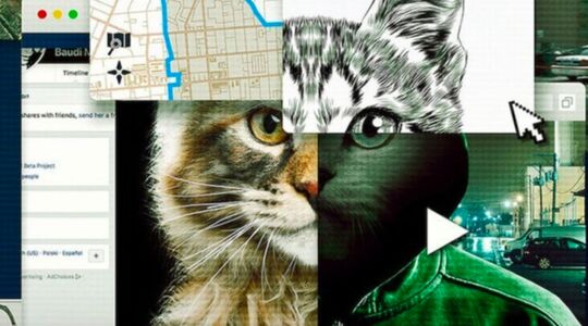 Illustratie voor: Netflix tip voor de zondagavond: Don’t F**k with Cats