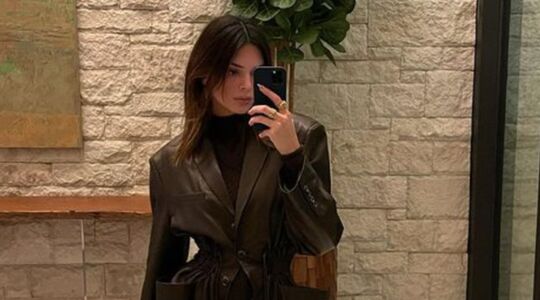 Illustratie voor: Kendall Jenner deelt Instagram story met haar nieuwe vriend
