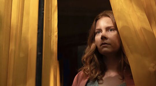 Illustratie voor: Netflix tip voor de zondagavond: The Woman in the Window