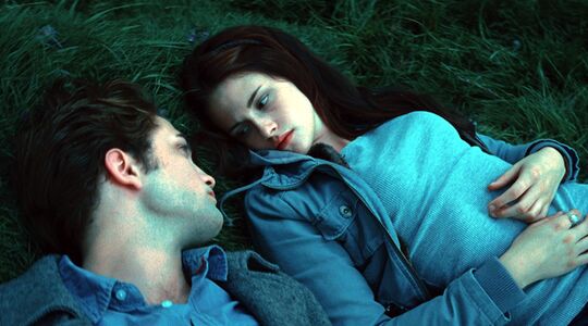 Illustratie voor: Wow! Zo zou Twilight eruit zien zonder die blauwe filter