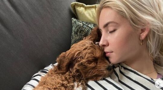 Science says: jouw hond is dus helemaal niet zo speciaal