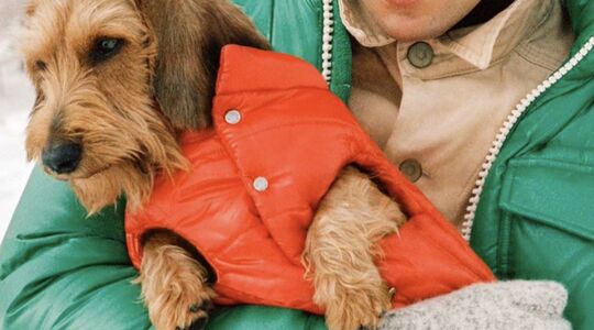 puffer jack voor je hond