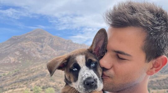 Taylor Lautner