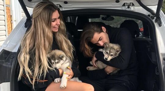 Familiehonden